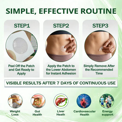 FDA Registered & GMP Certified  | 🧑‍⚕️🩺 Solaroza® Moringa & Berberine 10-IN-1 Advanced NanoMicroneedle Patch |  Backed by Scientific Evidence |10-in-1 Formula | Results in 5 Days💪