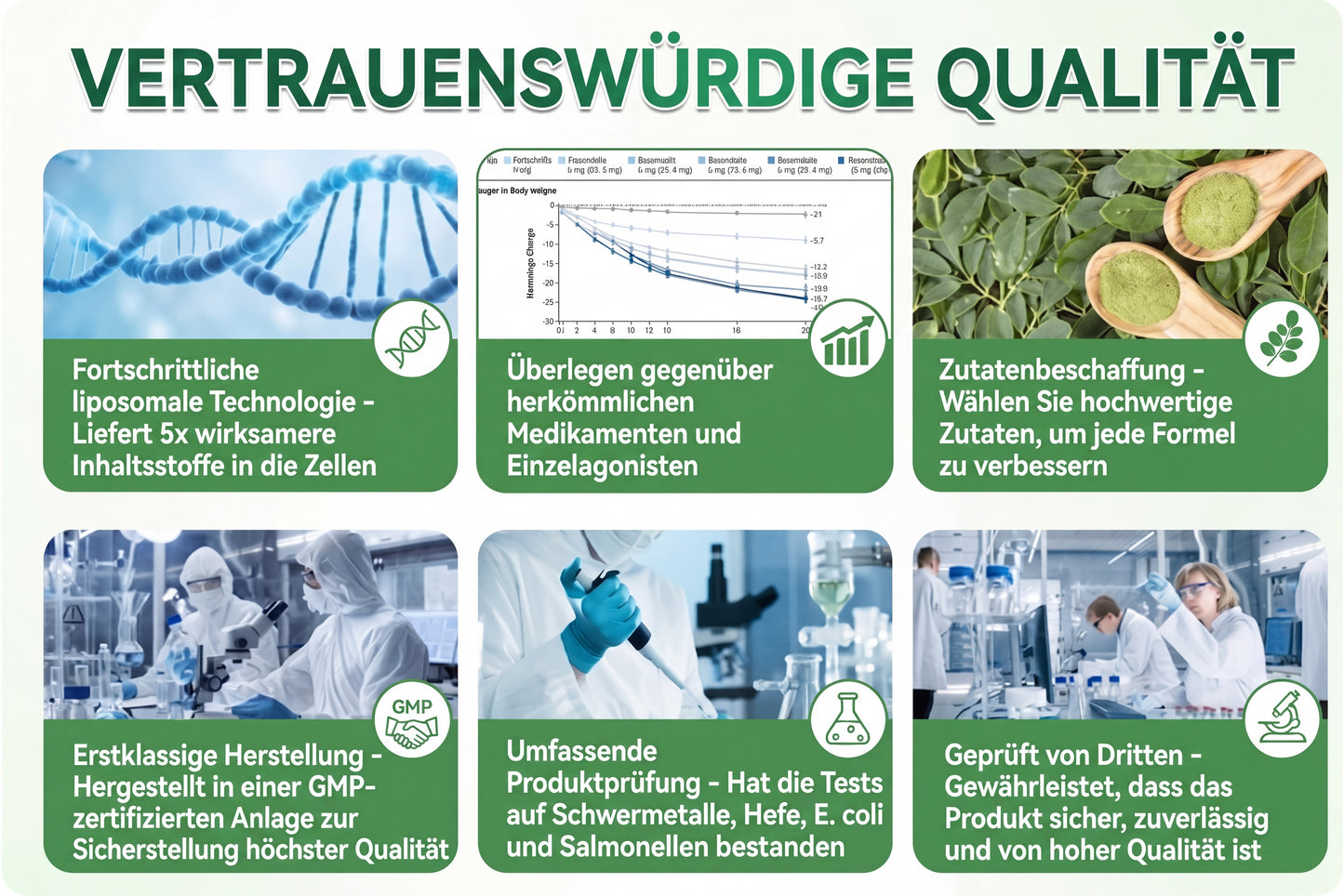 🌿CE-zertifiziert & GMP-zertifiziert | 🧑‍⚕️🩺 Solaroza® Moringa & Berberin 10-IN-1 Fortschrittliches Nano-Mikronadelpflaster | Wissenschaftlich belegt | 10-in-1 Formel | Ergebnisse in 5 Tagen🌿