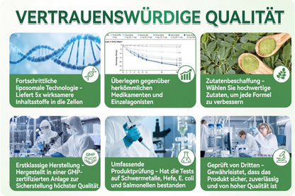 🌿CE-zertifiziert & GMP-zertifiziert | 🧑‍⚕️🩺 Solaroza® Moringa & Berberin 10-IN-1 Fortschrittliches Nano-Mikronadelpflaster | Wissenschaftlich belegt | 10-in-1 Formel | Ergebnisse in 5 Tagen🌿