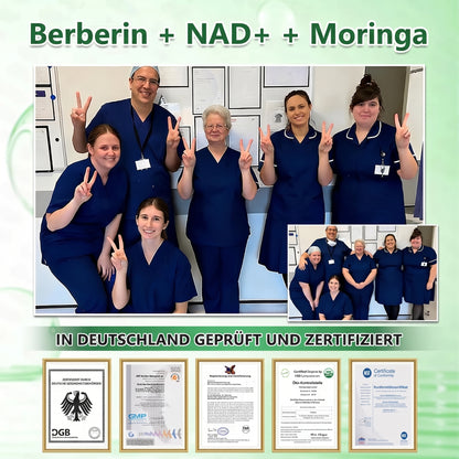 CE-zertifiziert & GMP-zertifiziert | 🧑‍⚕️🩺 Solaroza® Moringa & Berberin 10-IN-1 Fortschrittliches Nano-Mikronadelpflaster | Wissenschaftlich belegt | 10-in-1 Formel | Ergebnisse in 5 Tagen🚀