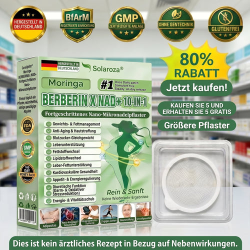 CE-zertifiziert & GMP-zertifiziert | 🧑‍⚕️🩺 Solaroza® Moringa & Berberin 10-IN-1 Fortschrittliches Nano-Mikronadelpflaster | Wissenschaftlich belegt | 10-in-1 Formel | Ergebnisse in 5 Tagen🚀